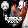 Panda Remix SCARRED ES
